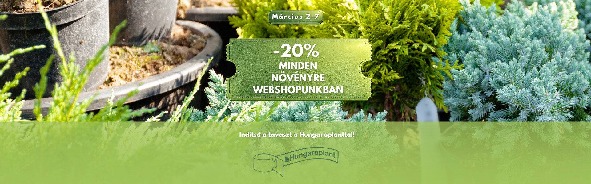 Kezdőoldal Hungaroplant.hu