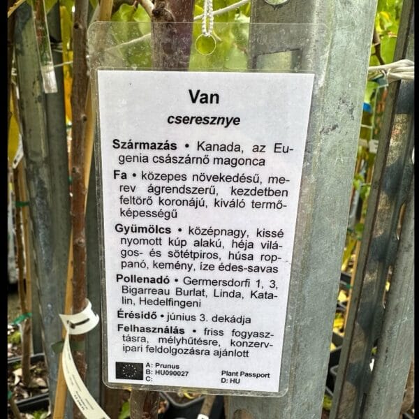 Hungaroplant