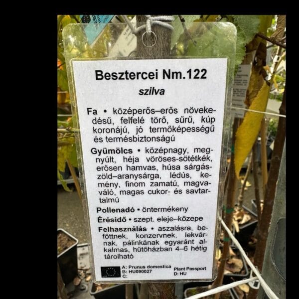 Hungaroplant