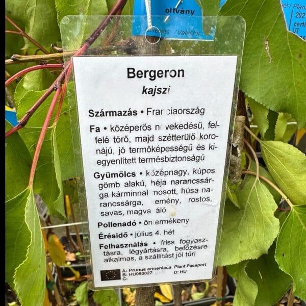 Hungaroplant