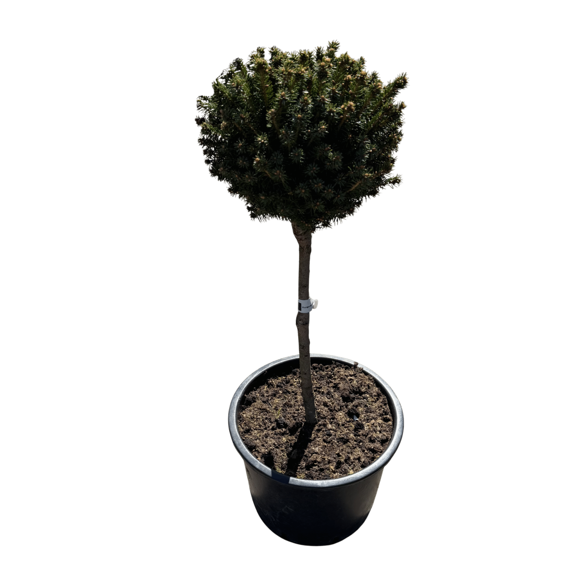 326fb49d-2185-4912-ae64-c052705c7cb6