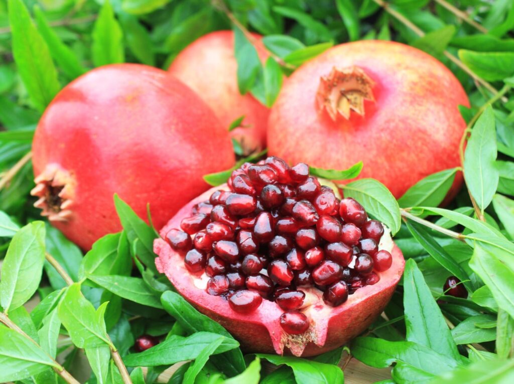 Gránátalma (Punica granatum ‘Wonderfull’)