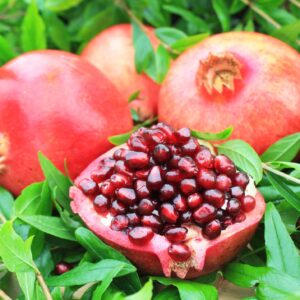 Gránátalma (Punica granatum ‘Wonderfull’)