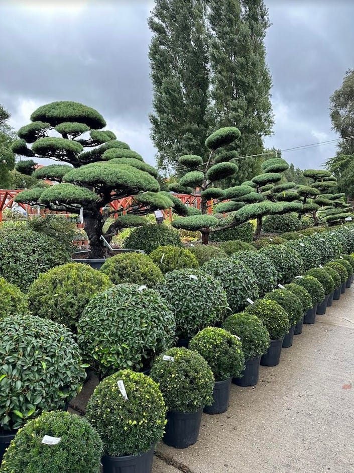 A kert kora tavasszal – Legfontosabb szezon indító teendők egy zöldülő oázisban